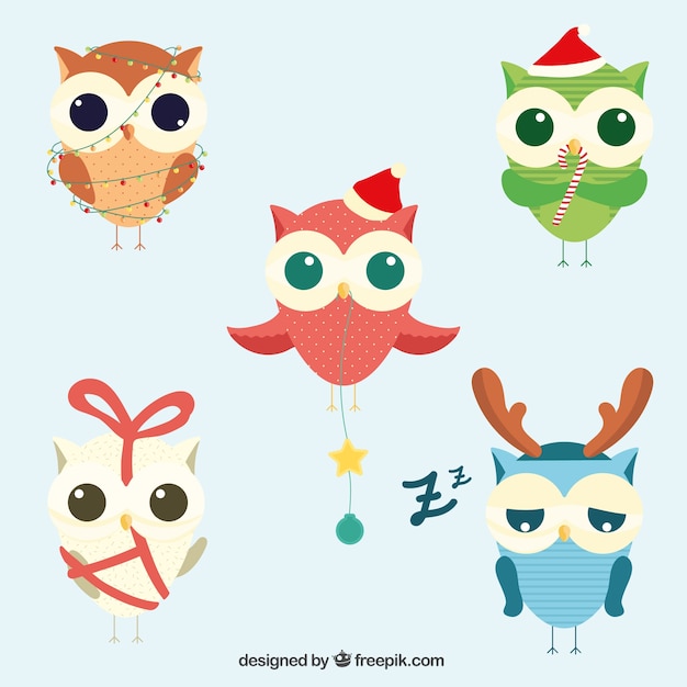 Download Collection of cute christmas owls Vector | Free Download