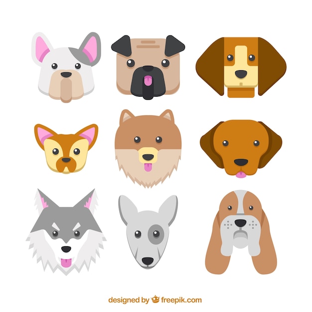 Collection of dog breeds in flat design