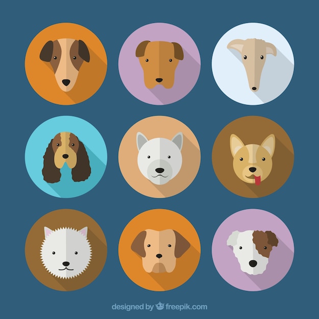 Collection of dog breeds