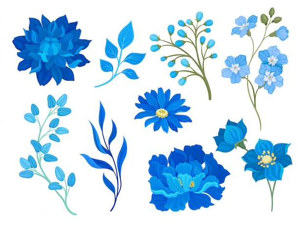 青い花と葉の図面のコレクション 白い背景のイラスト プレミアムベクター