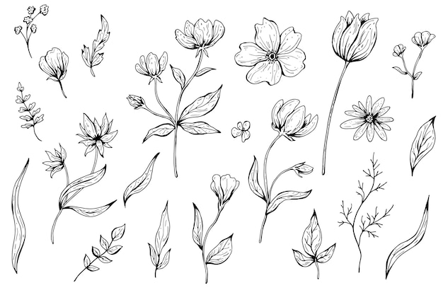 花 葉 植物のコレクション 手描きイラスト モノクロの黒と白のインクスケッチ 線画 孤立 プレミアムベクター