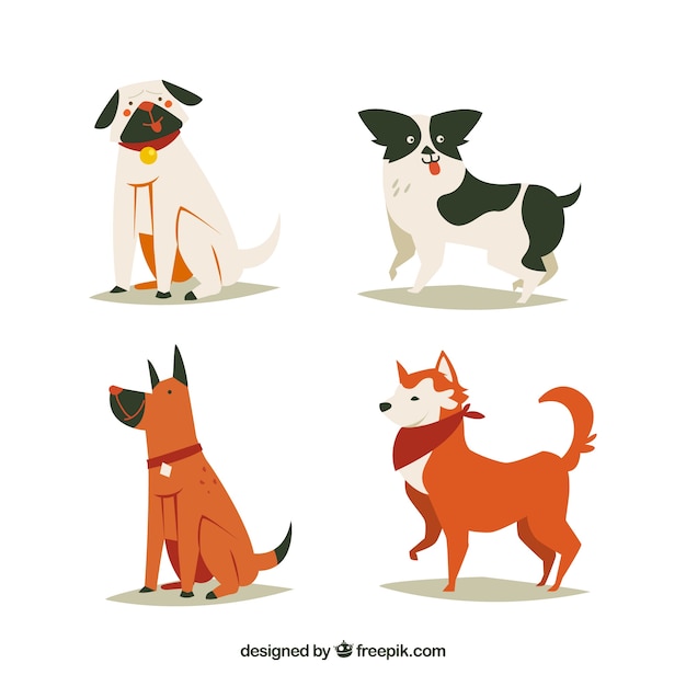 Collection of four funny dogs