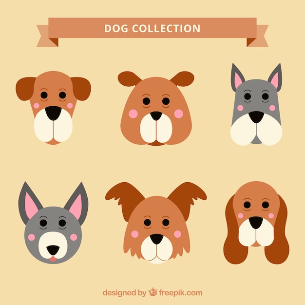 Collection of funny dog faces