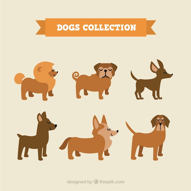 Collection of funny dog ​​profiles