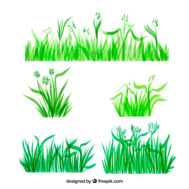 Collection of green grass borders