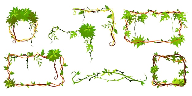 緑のトロピカルフレームのコレクション 漫画のフレーム形のつる植物 葉とジャングル植物の枝 無料のベクター