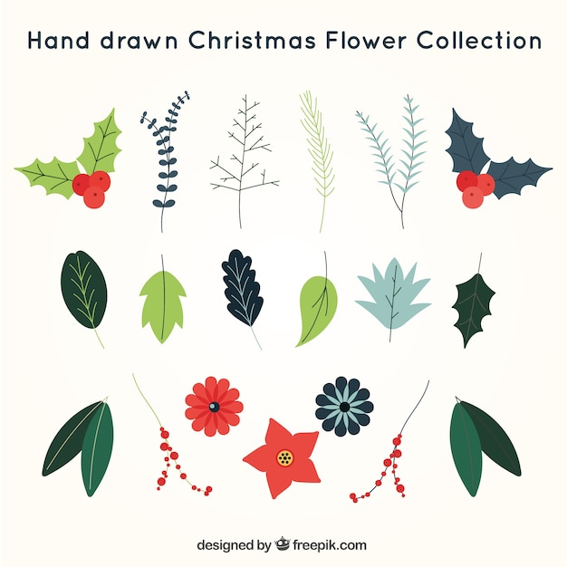 Download Collection of hand-drawn christmas flowers Vector | Free ...