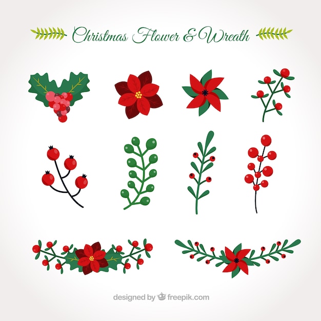Download Collection of hand drawn christmas flowers Vector | Free ...