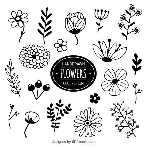 Download Collection of hand drawn flowers Vector | Free Download