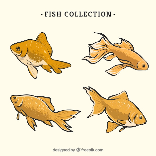 Collection of hand drawn yellow fish