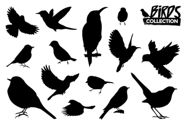孤立した鳥のシルエットのコレクション グラフィックリソース プレミアムベクター 孤立した鳥のシルエットのコレクション グラフィックリソース プレミアムベクター
