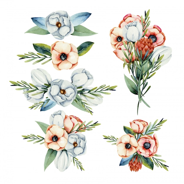 白とサンゴのアネモネとプロテアの花の孤立した水彩花束のコレクション手描きイラスト プレミアムベクター