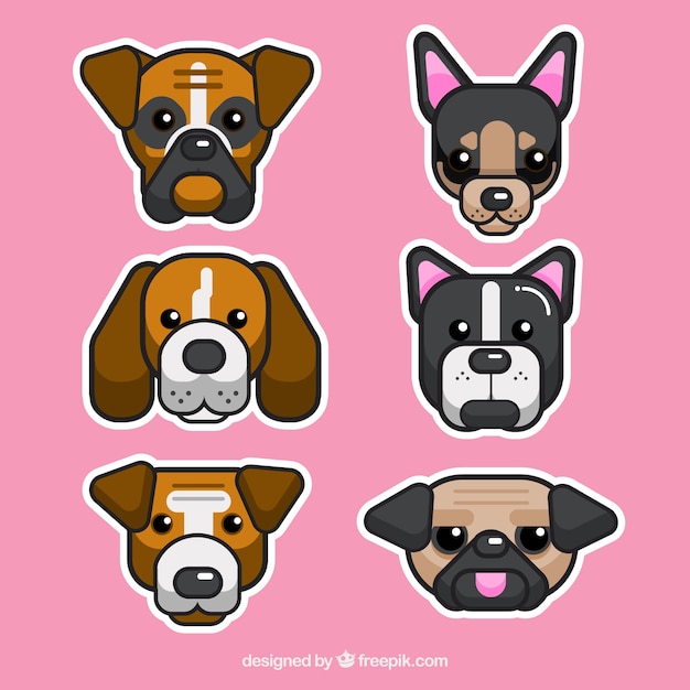 Collection of lovely dogs in flat design
