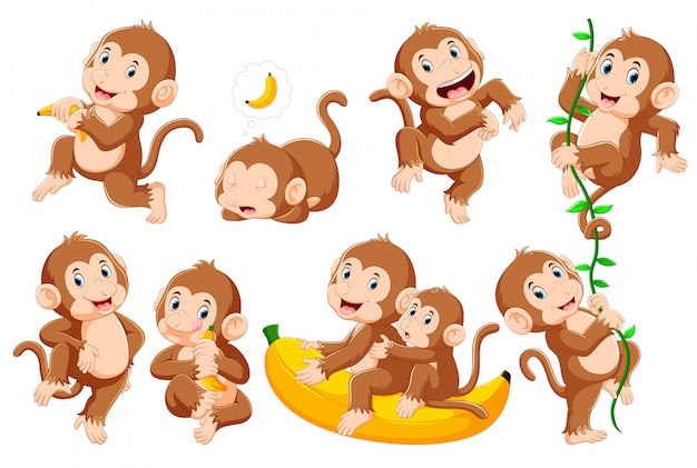 さまざまなポーズの猿のコレクション プレミアムベクター