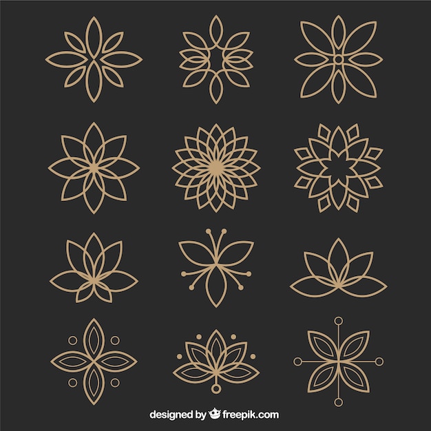 Download Collection of ornamental flowers in geometric style Vector | Free Download