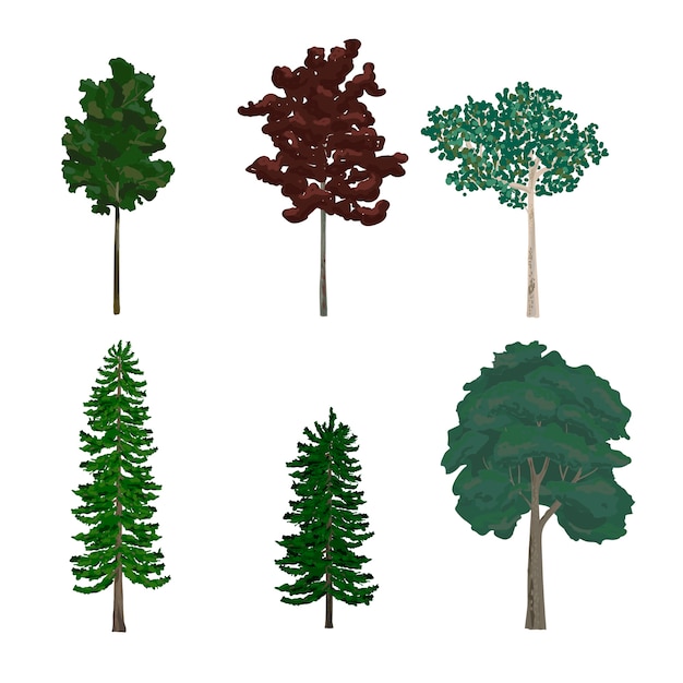 松と葉の木のイラストのコレクション 無料のベクター