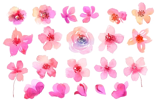 水彩でピンクの花のコレクション 無料のベクター