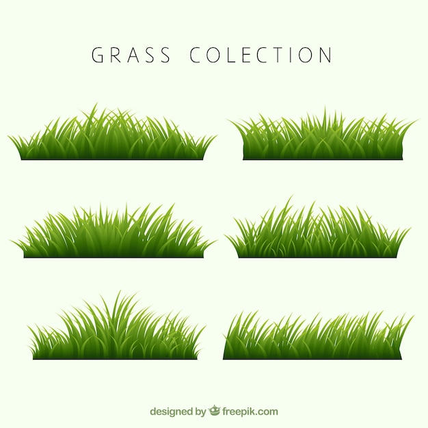 Collection of realistic grass borders