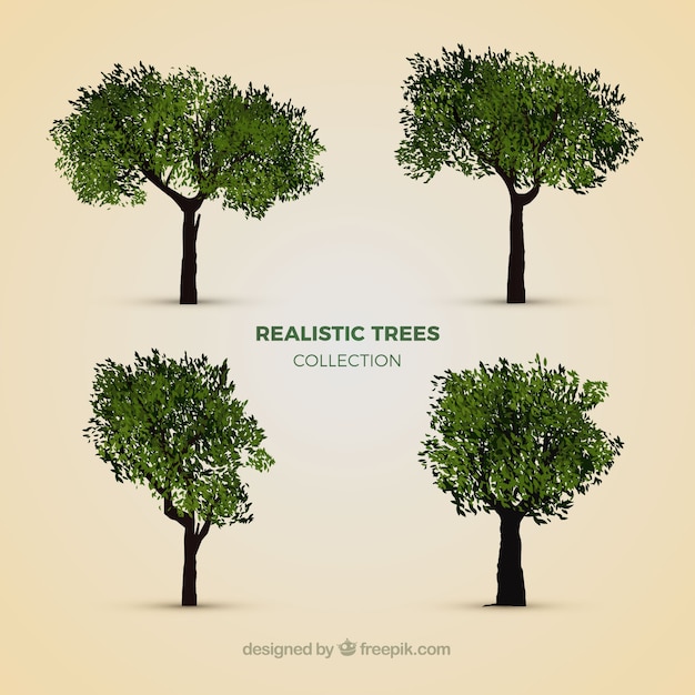 Collection of realistic trees Free Vector Collection of realistic trees Free Vector