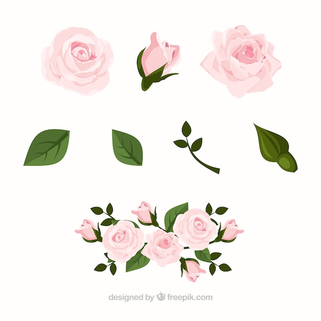Collection of roses in realistic design
