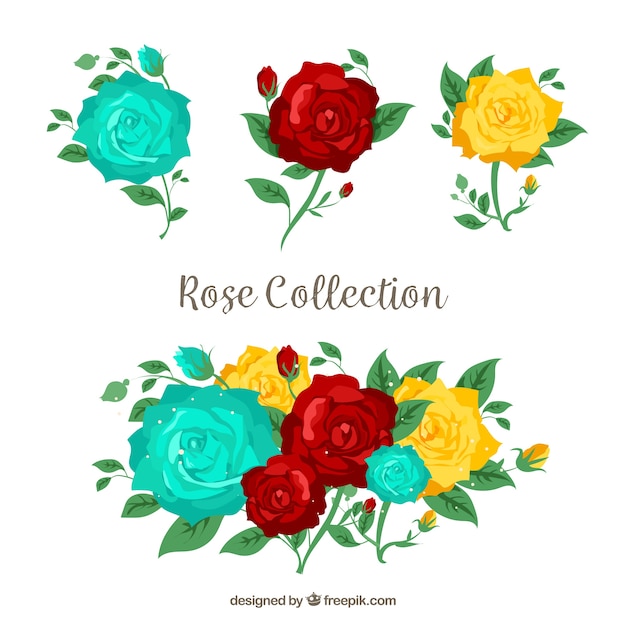 Collection of roses with three colors