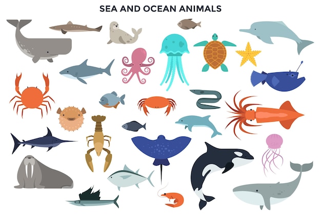 海と海の動物のコレクション 海洋哺乳類 爬虫類 魚 軟体動物 甲殻類 白い背景で隔離のかわいい 漫画のキャラクターのセットです フラットスタイルのカラフルなベクトルイラスト プレミアムベクター