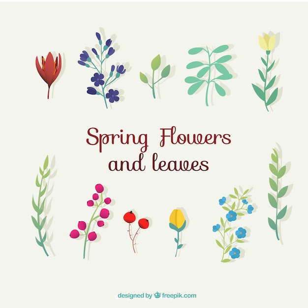 Collection of spring flowers and leaves