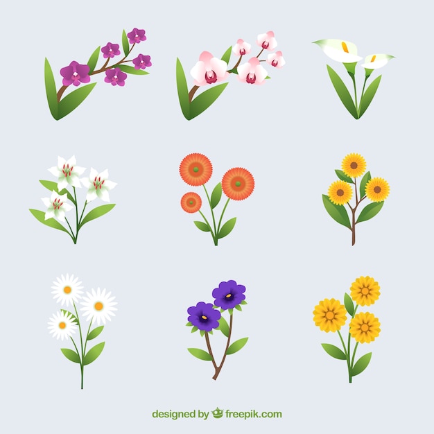 Collection of summer flowers in flat
design