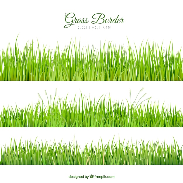 Collection of three realistic grass borders Vector | Free Download