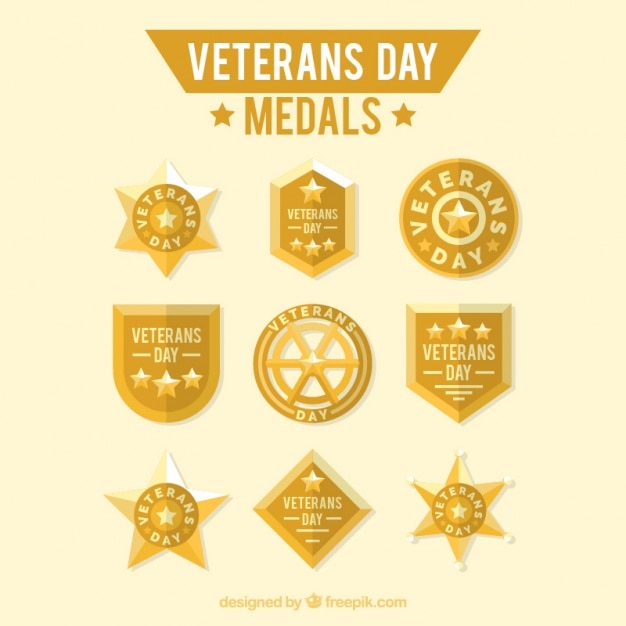 Collection of veterans day gold medals