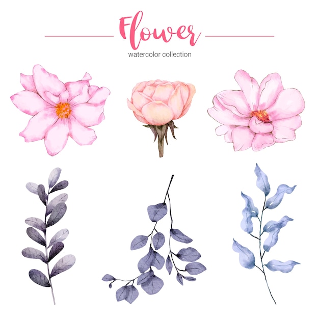 水彩イラスト美しい花のコレクション 無料のベクター