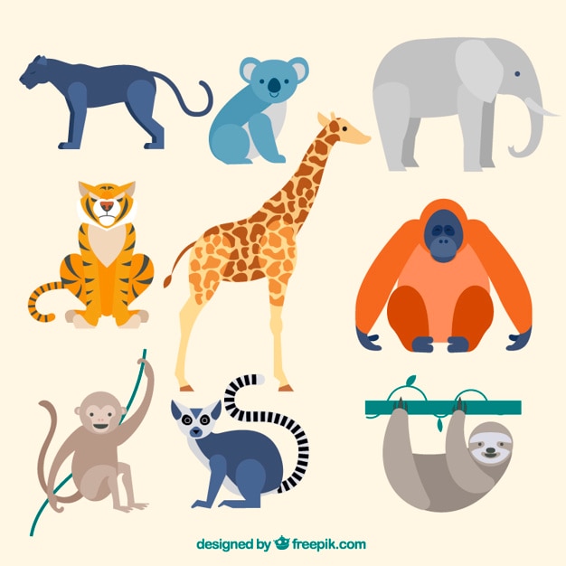 Collection of wild animal in flat design