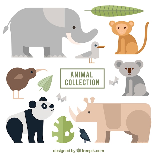 Collection of wild animals with flat\
design