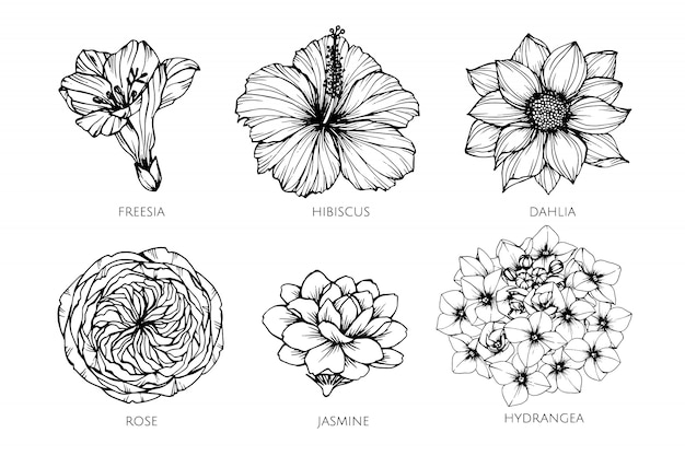 Featured image of post Flowers To Draw / There are literally thousands of varieties across the world, growing wild and free or cultivated and nurtured by man (and.