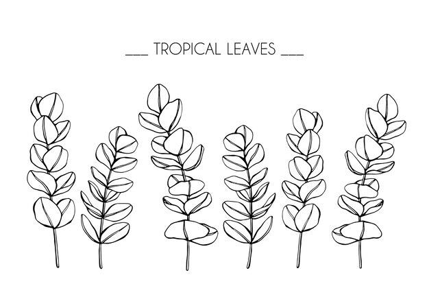 Premium Vector | Collection set of tropical leaves drawing illustration.