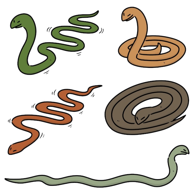 Premium Vector | Collection of snakes isolated on white