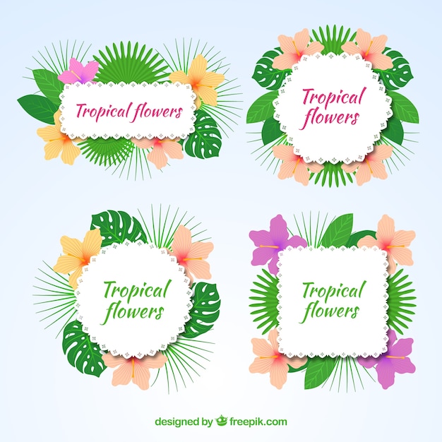 Free Vector | Collection of tropical flower frames