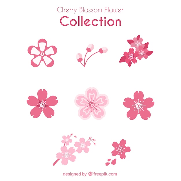 Download Free Vector | Collection of variety of cherry blossoms