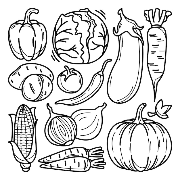 Premium Vector | Collection of vegetables doodle