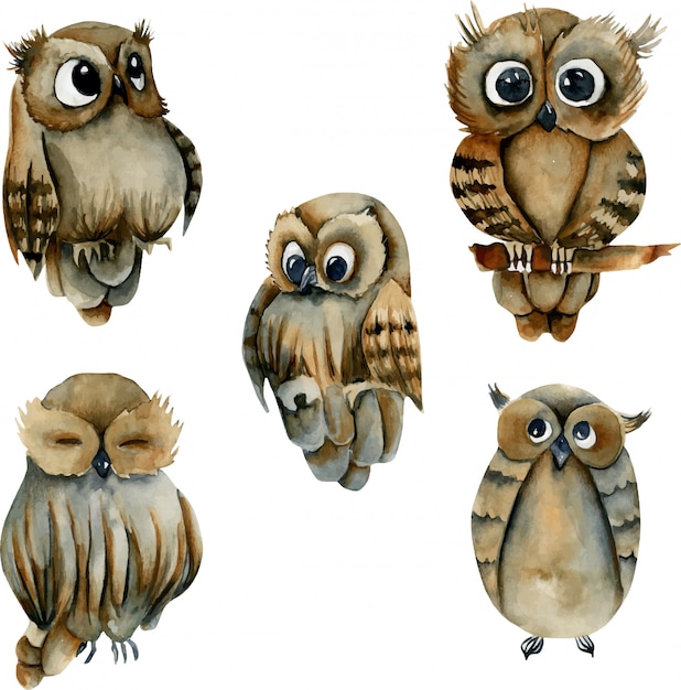 Premium Vector Collection Of Watercolor Cute Owls