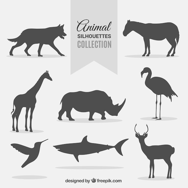 Download Collection of wild animal silhouettes | Free Vector