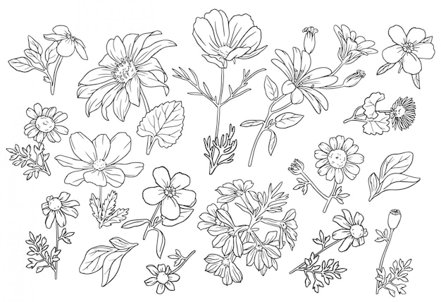 Free Free 122 Flower Outline Svg SVG PNG EPS DXF File