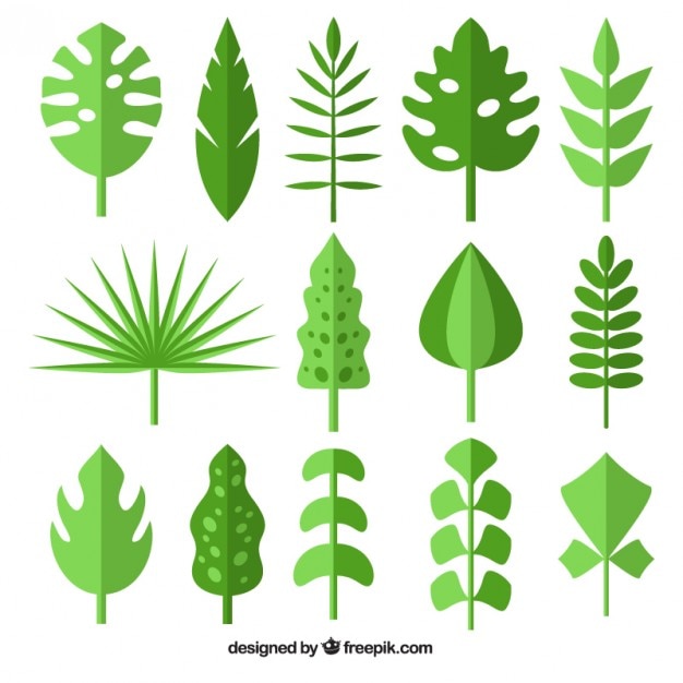 Collection of wild green leaf | Premium Vector