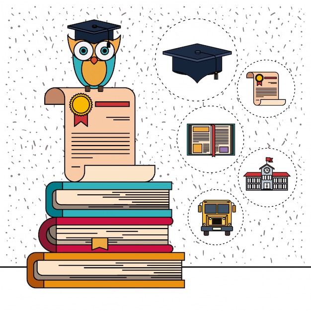 Color background with sparkles of owl on certificate and stack of books with education element icons Premium Vector