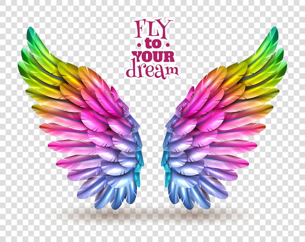 Download Free Download This Free Vector Color Wing Transparent Set Use our free logo maker to create a logo and build your brand. Put your logo on business cards, promotional products, or your website for brand visibility.