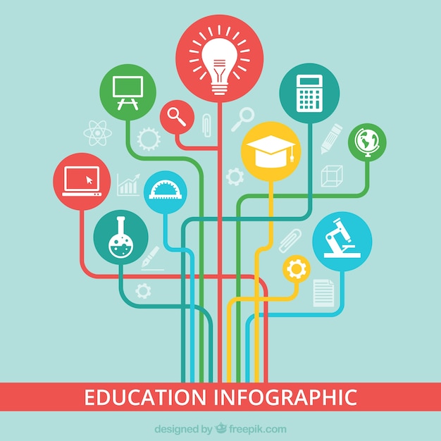 Colored education infographic
