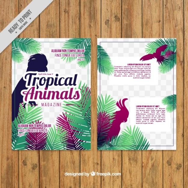 Colored exotic birds magazine