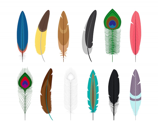 Download Colored feathers vector icons isolated on white background ...