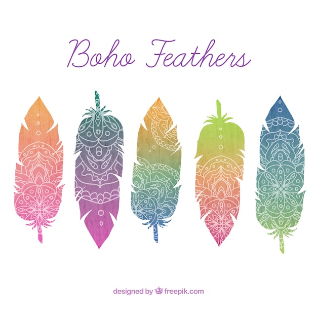 Download Colored feathers with hand drawn ornaments in boho style ...