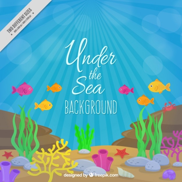 Colored Fishes And Seaweeds Under The Sea Background Stock Images Page Everypixel